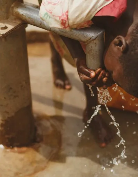 image_683f17ee9f5f88.54836132-1